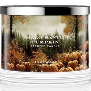 Homework Palo Santo Pumpkin Candle with Silver Lid